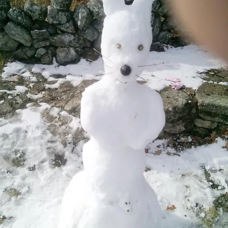 Gospodarstwo wiejskie K1 Rural *