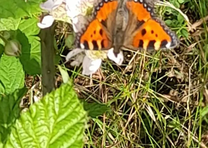 K1 Rural Casa rural *